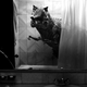 Illustration for article titled Fix my fear of the bathtub!